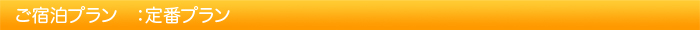 プラン：ご定番プラン