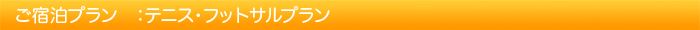 プラン：テニス・フットサルプラン